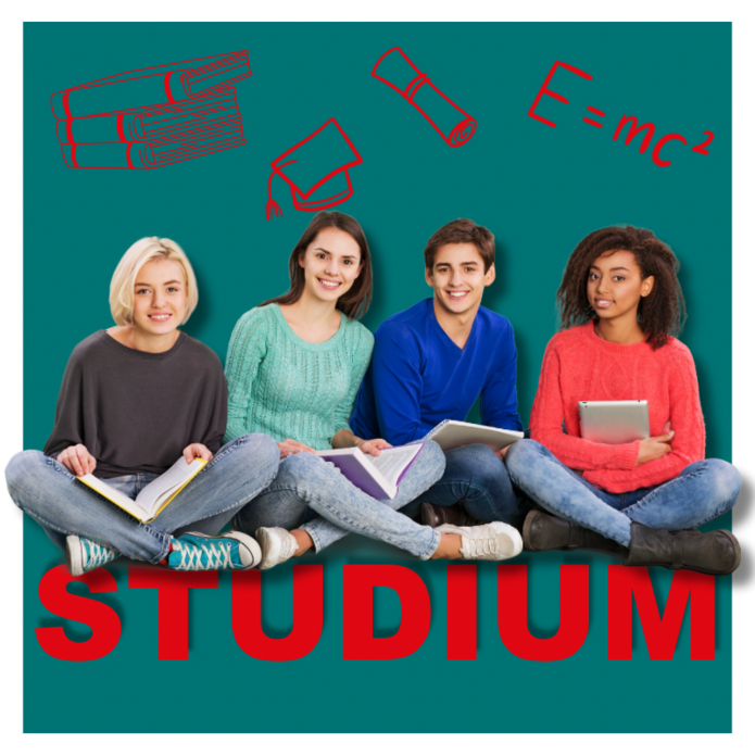 Vier Studierende